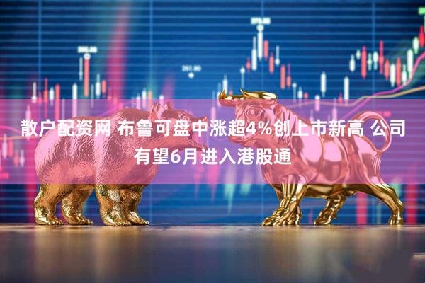 散户配资网 布鲁可盘中涨超4%创上市新高 公司有望6月进入港股通