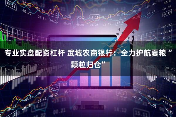 专业实盘配资杠杆 武城农商银行：全力护航夏粮“颗粒归仓”