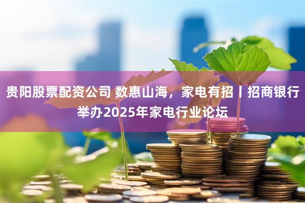 贵阳股票配资公司 数惠山海，家电有招丨招商银行举办2025年家电行业论坛